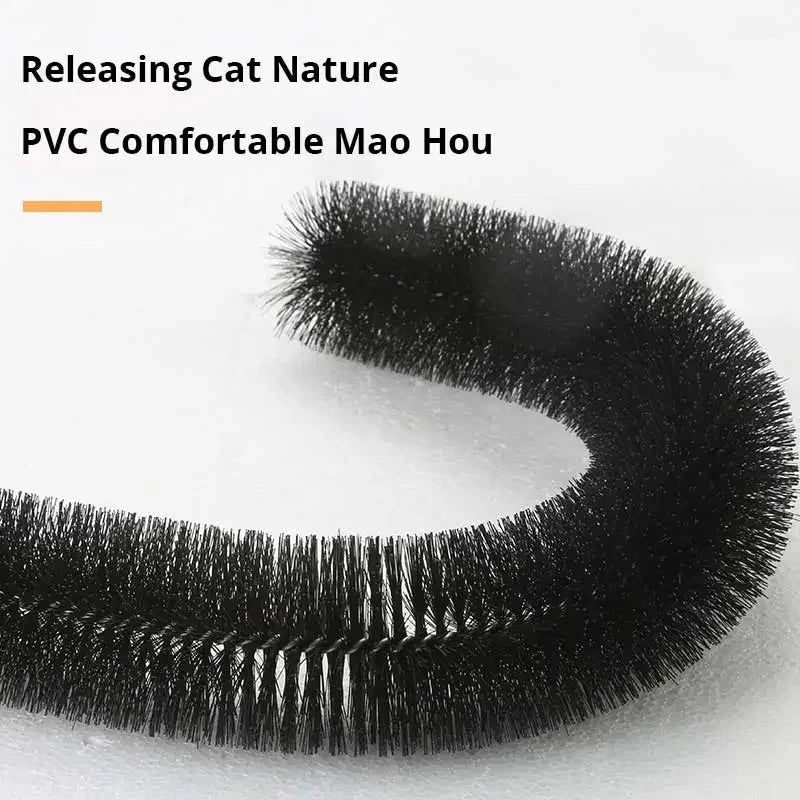 PurrArch Spa