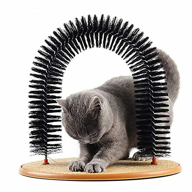 PurrArch Spa