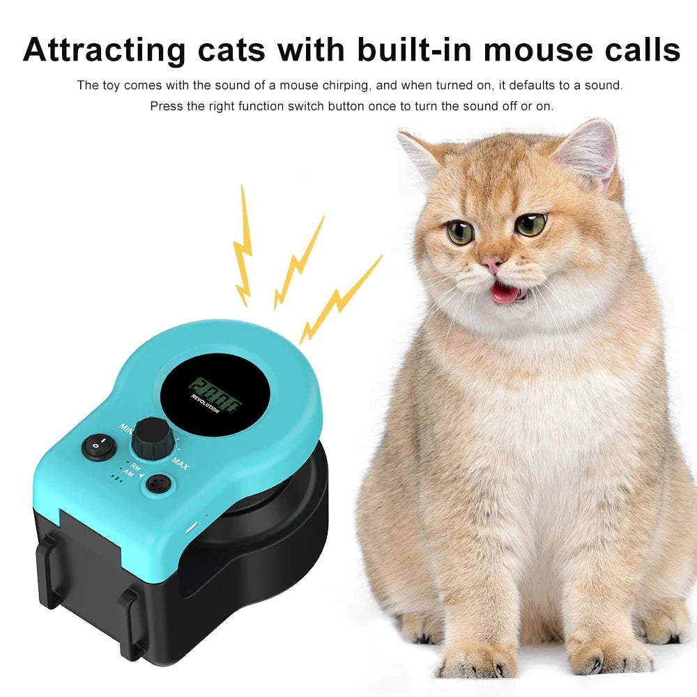 PurrRunner