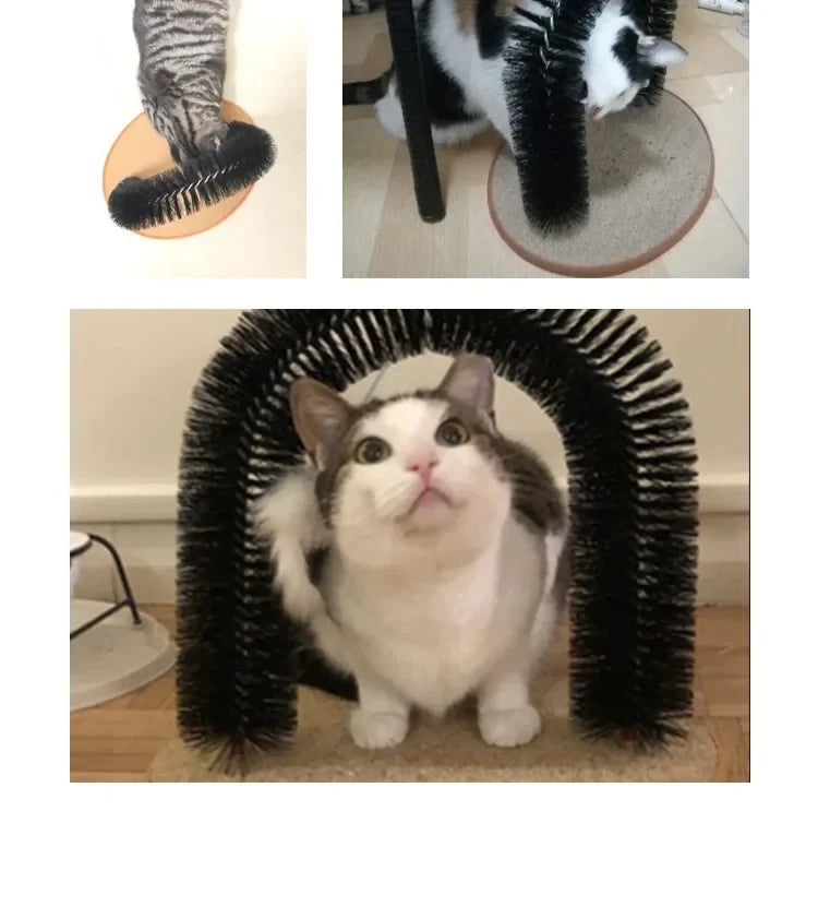 PurrArch Spa