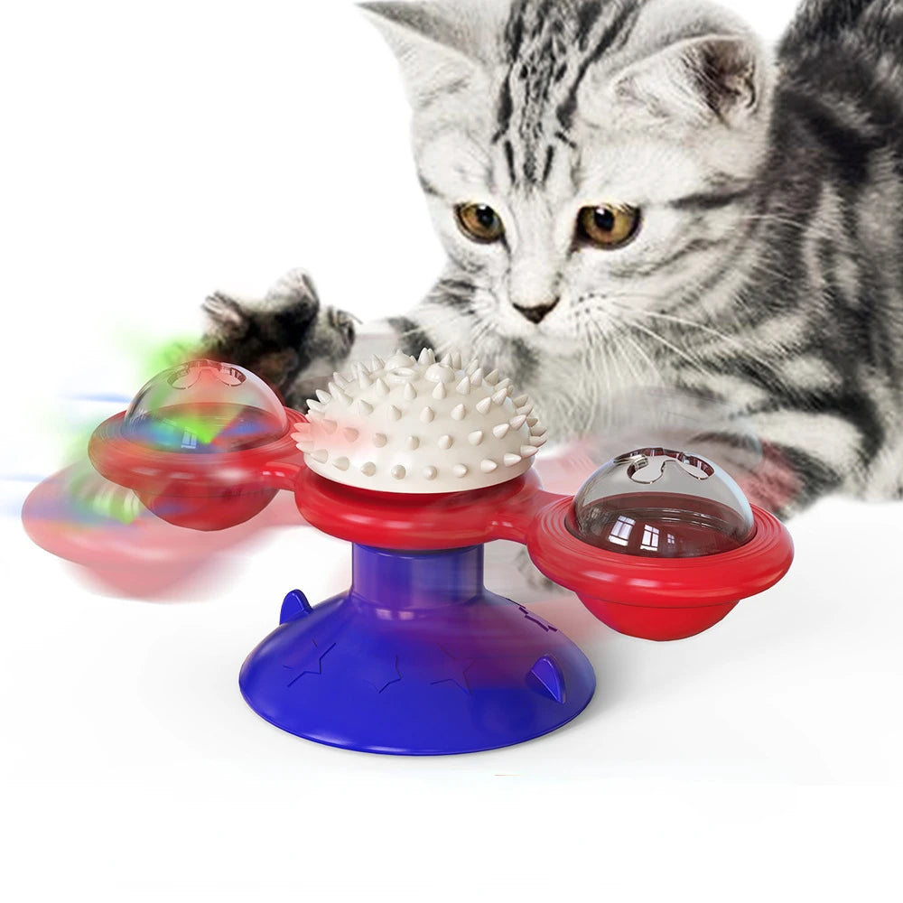 SpinPaw Puzzle