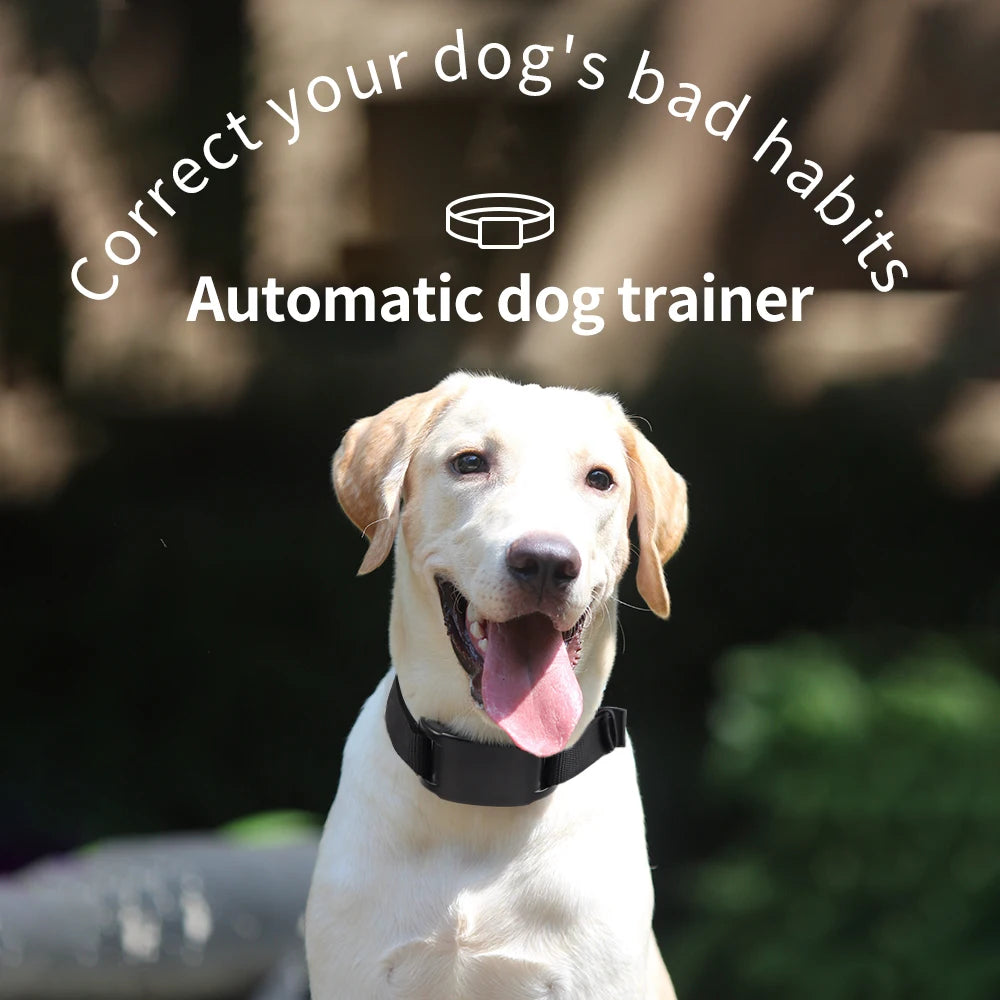 SilentPup Pro