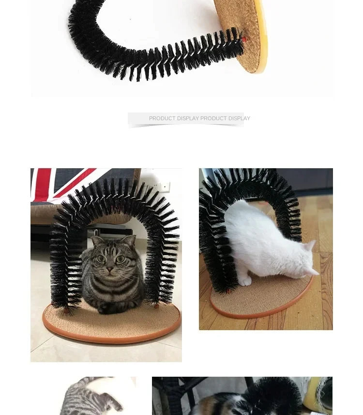 PurrArch Spa