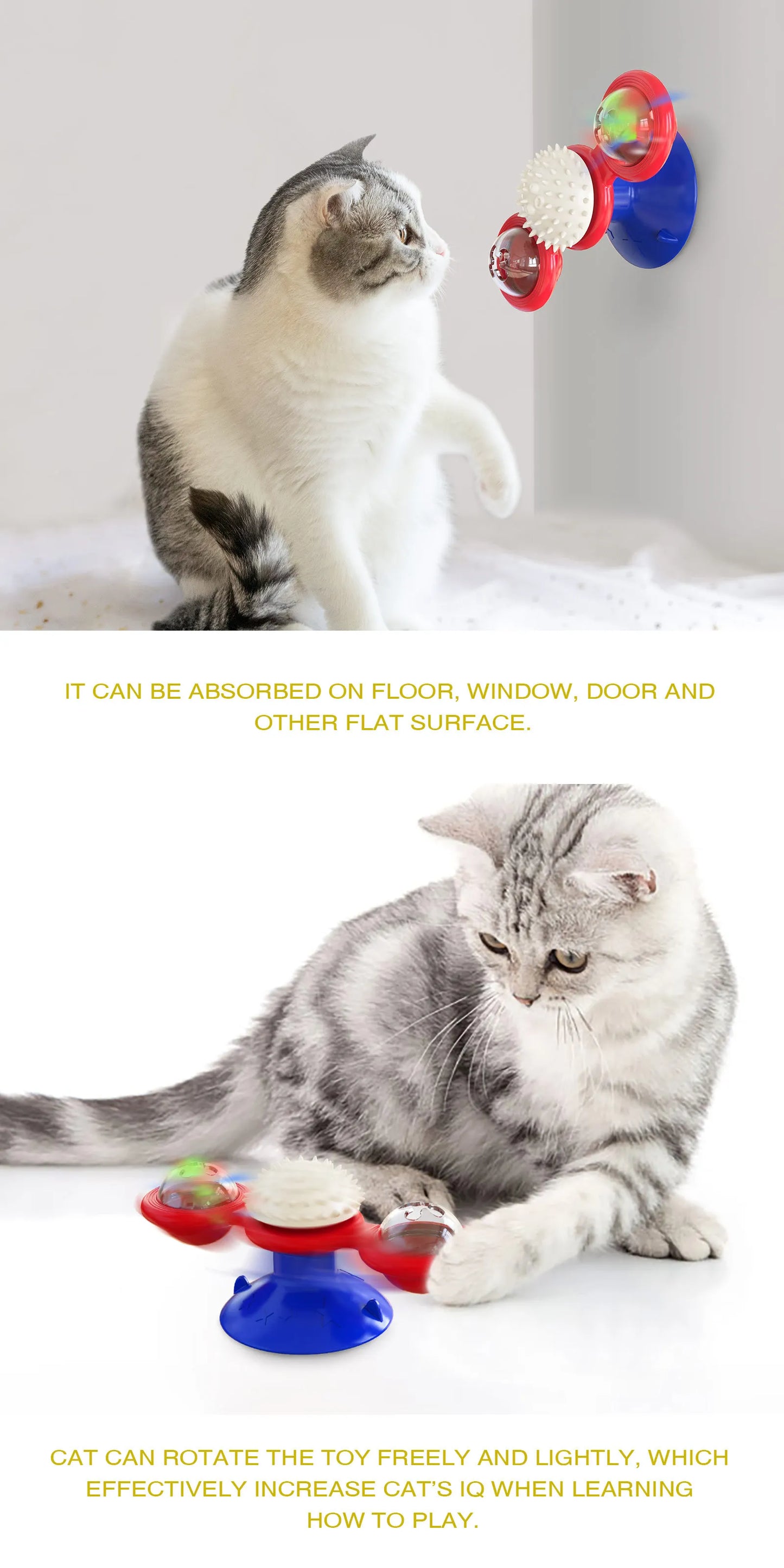 SpinPaw Puzzle