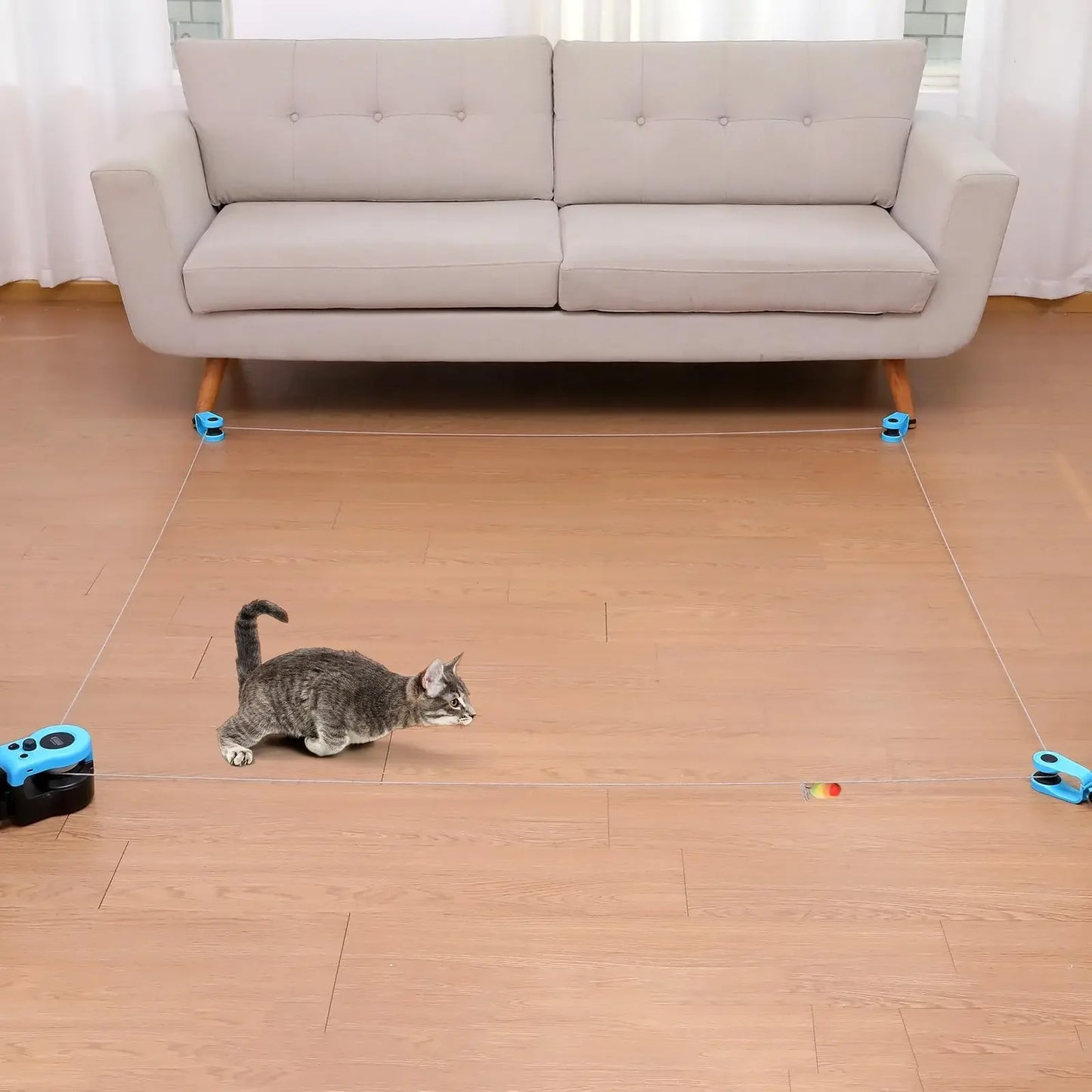 PurrRunner