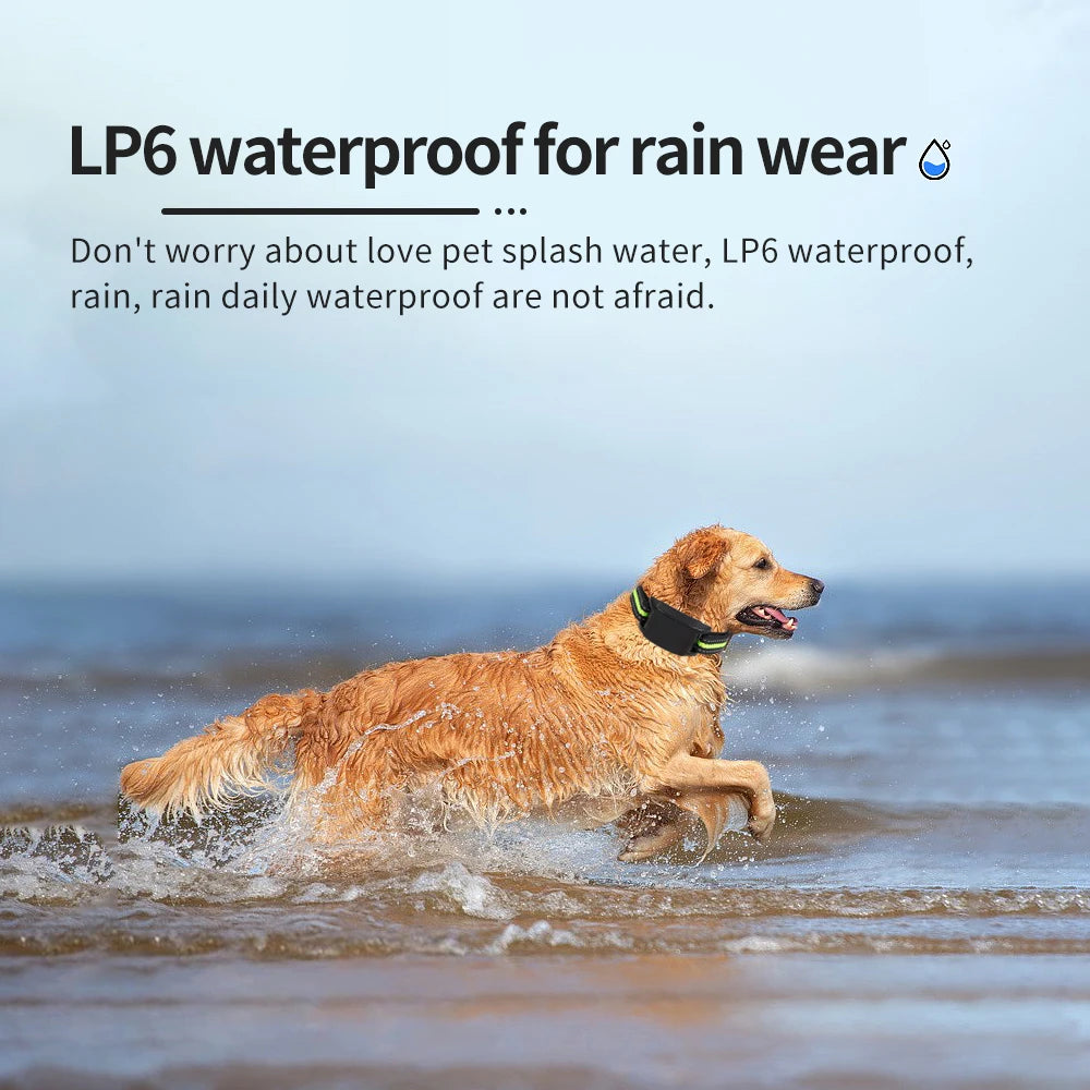 SilentPup Pro