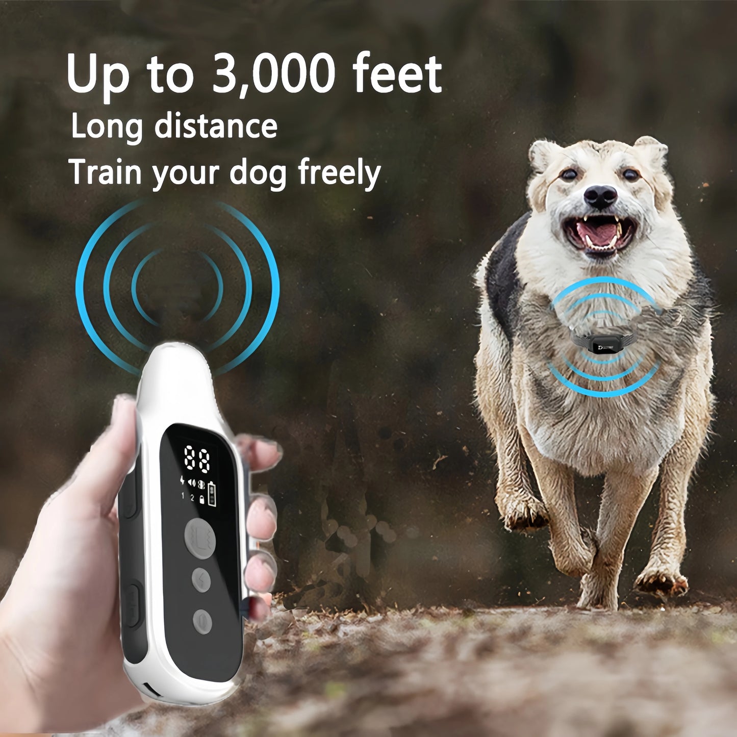 PawCommand Pro 800