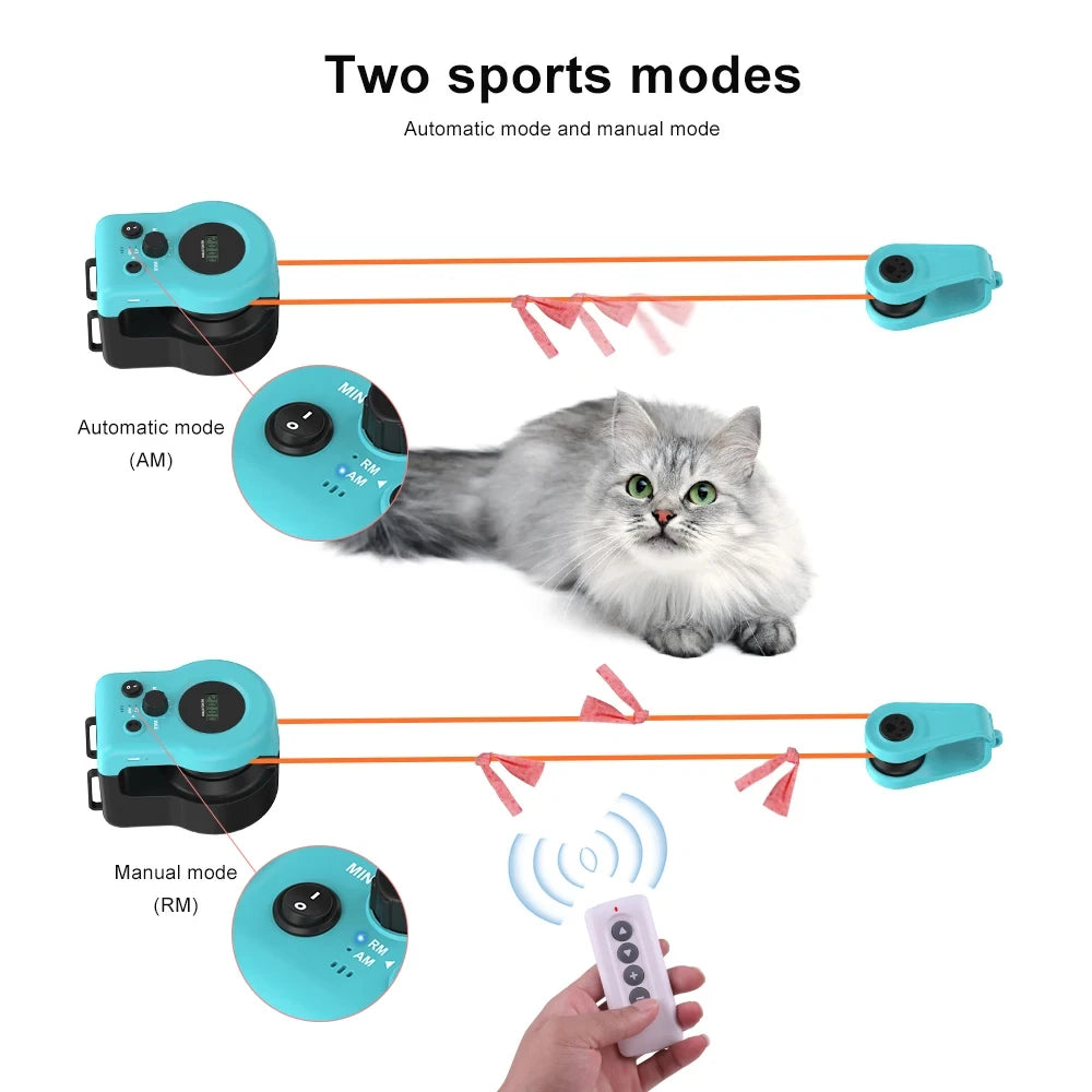 PurrRunner