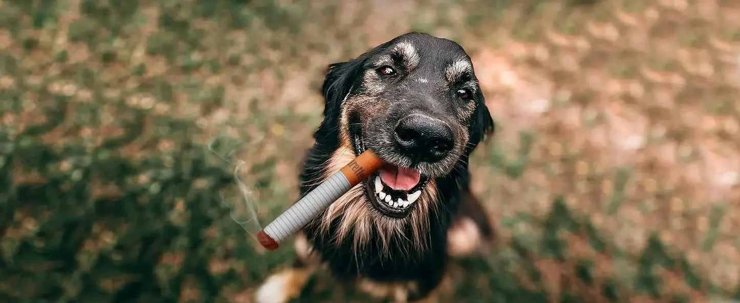 Dog Cigarette pack toy