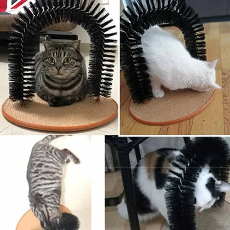 PurrArch Spa